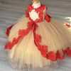 41IOjteldxL.jpg 2025 Ball Gown Sheer Neck Flower Girl Dresses for Wedding Party with Big Bows at Back