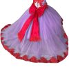 41PbzoTLxhL.jpg 2025 Ball Gown Sheer Neck Flower Girl Dresses for Wedding Party with Big Bows at Back