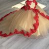 41mimXSSkAL.jpg 2025 Ball Gown Sheer Neck Flower Girl Dresses for Wedding Party with Big Bows at Back