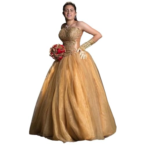 Lace Organza Prom Dresses Plus Size Strapless A-line Formal Dress Evening Womens Gowns Corset 2025