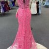 Mermaid Tight Lace Designer Prom Bridesmaid Dresses Evening Formal Gowns Applique 2025