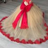 41s7zgFcueL.jpg 2025 Ball Gown Sheer Neck Flower Girl Dresses for Wedding Party with Big Bows at Back