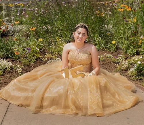 Lace Organza Prom Dresses Plus Size Strapless A-line Formal Dress Evening Womens Gowns Corset 2025
