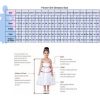 Flower Embroidered Mexican Mini Quinceanera Dresses for Little Girls Pageant Ball Gown Dress Off Shoulder